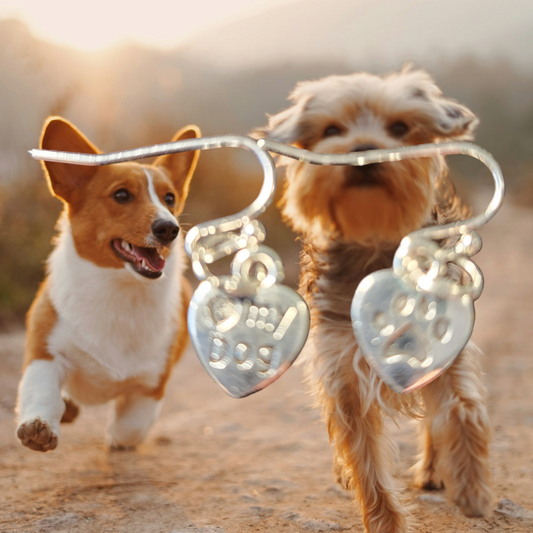 Adorable earrings